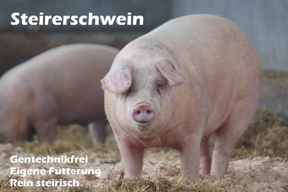 Steirerschwein